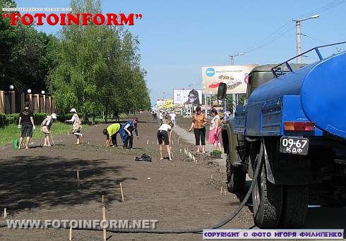 Возле дендропарка появится самая большая цветочная клумба Кировограда (ФОТО)